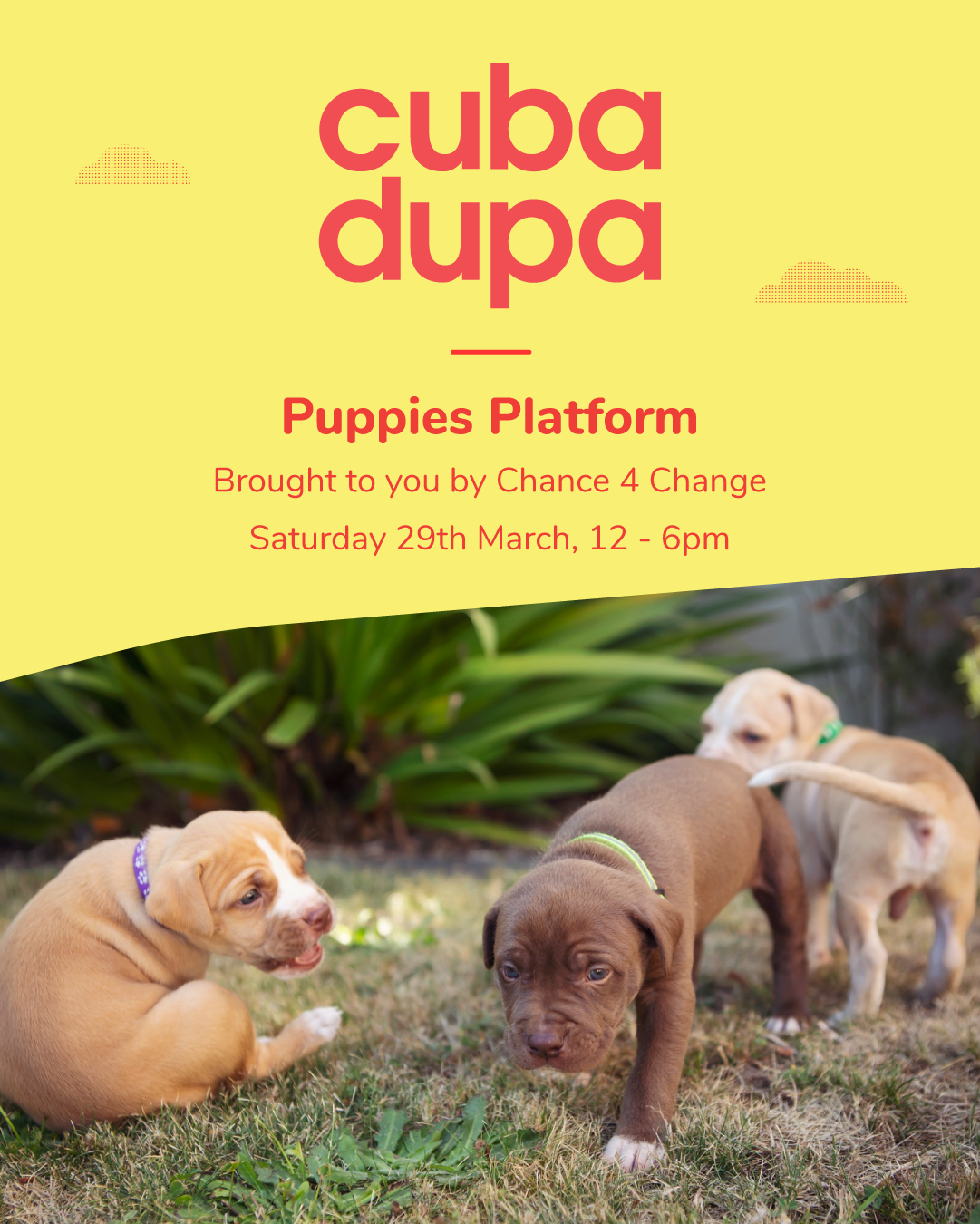 Puppie's Platform at Cuba Dupa (and Bike Parking)